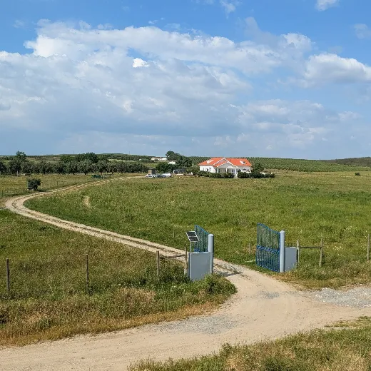 fancy-gallery-tabs-image